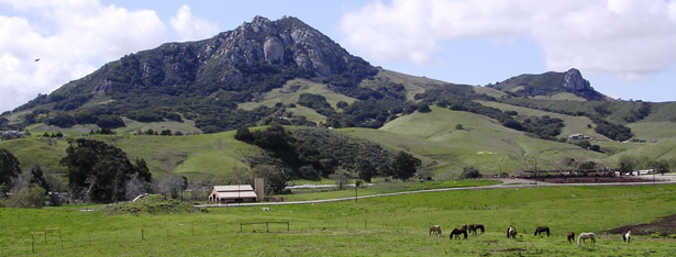 Parker Ranch Barn and horses grazing in a green pasture with Bishop Peak in the distance. Photo provided by University Advancement.